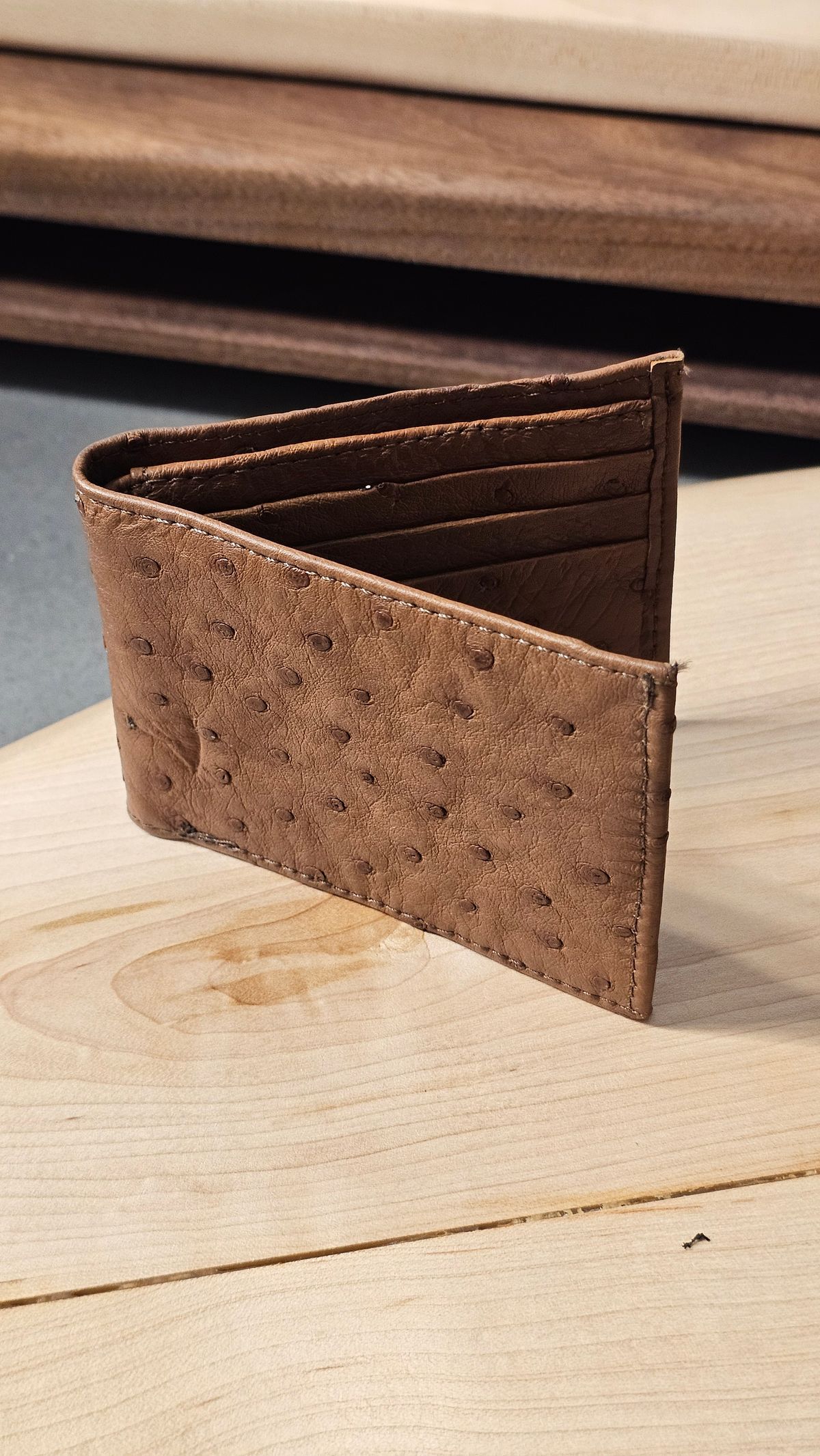 Photo by arriaga214 on October 2, 2025 of the Unknown. From Guanajuato MX Wallet in Full Quill Ostrich.