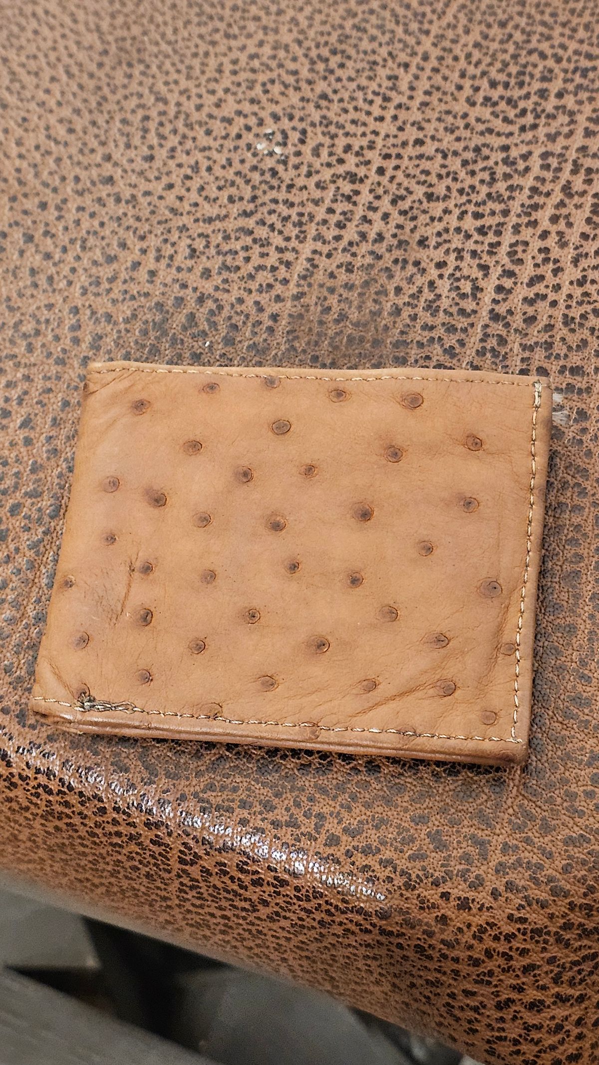 Photo by arriaga214 on November 6, 2025 of the Unknown. From Guanajuato MX Wallet in Full Quill Ostrich.