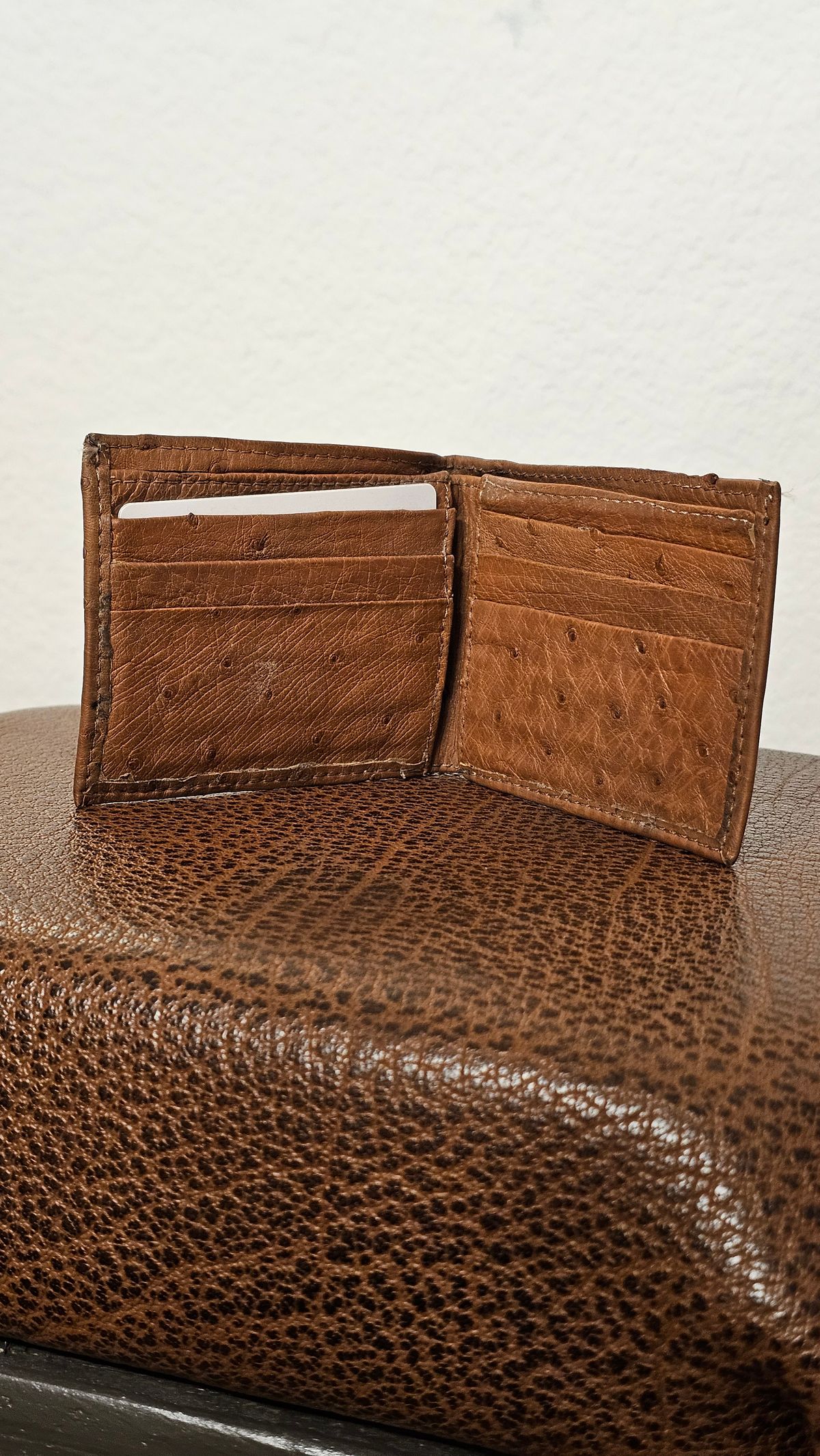 Photo by arriaga214 on November 6, 2025 of the Unknown. From Guanajuato MX Wallet in Full Quill Ostrich.