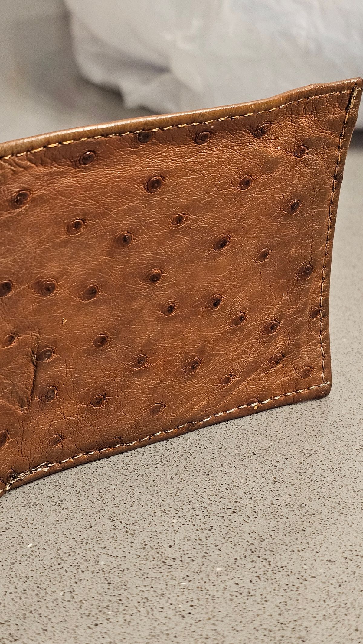 Photo by arriaga214 on January 2, 2026 of the Unknown. From Guanajuato MX Wallet in Full Quill Ostrich.