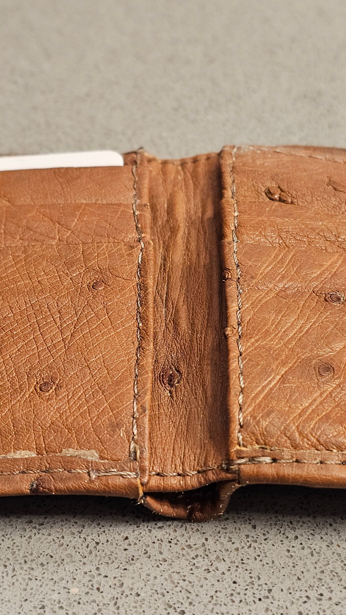 Photo by arriaga214 on January 2, 2026 of the Unknown. From Guanajuato MX Wallet in Full Quill Ostrich.