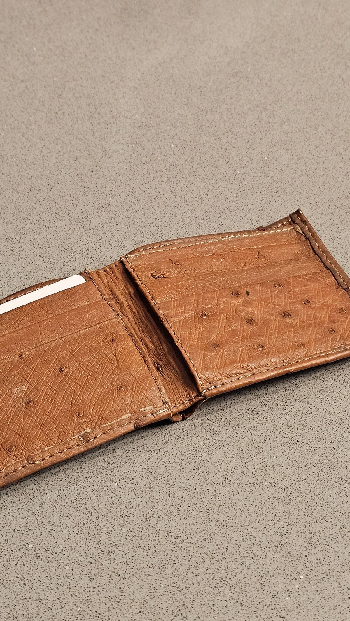 Photo by arriaga214 on January 2, 2026 of the Unknown. From Guanajuato MX Wallet in Full Quill Ostrich.