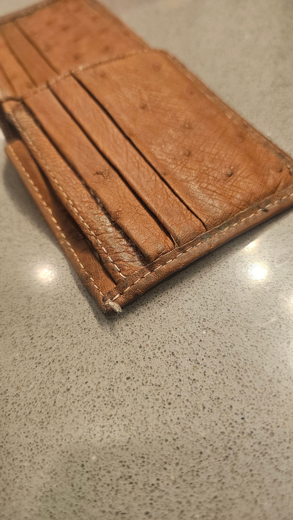 Photo by arriaga214 on March 4, 2026 of the Unknown. From Guanajuato MX Wallet in Full Quill Ostrich.