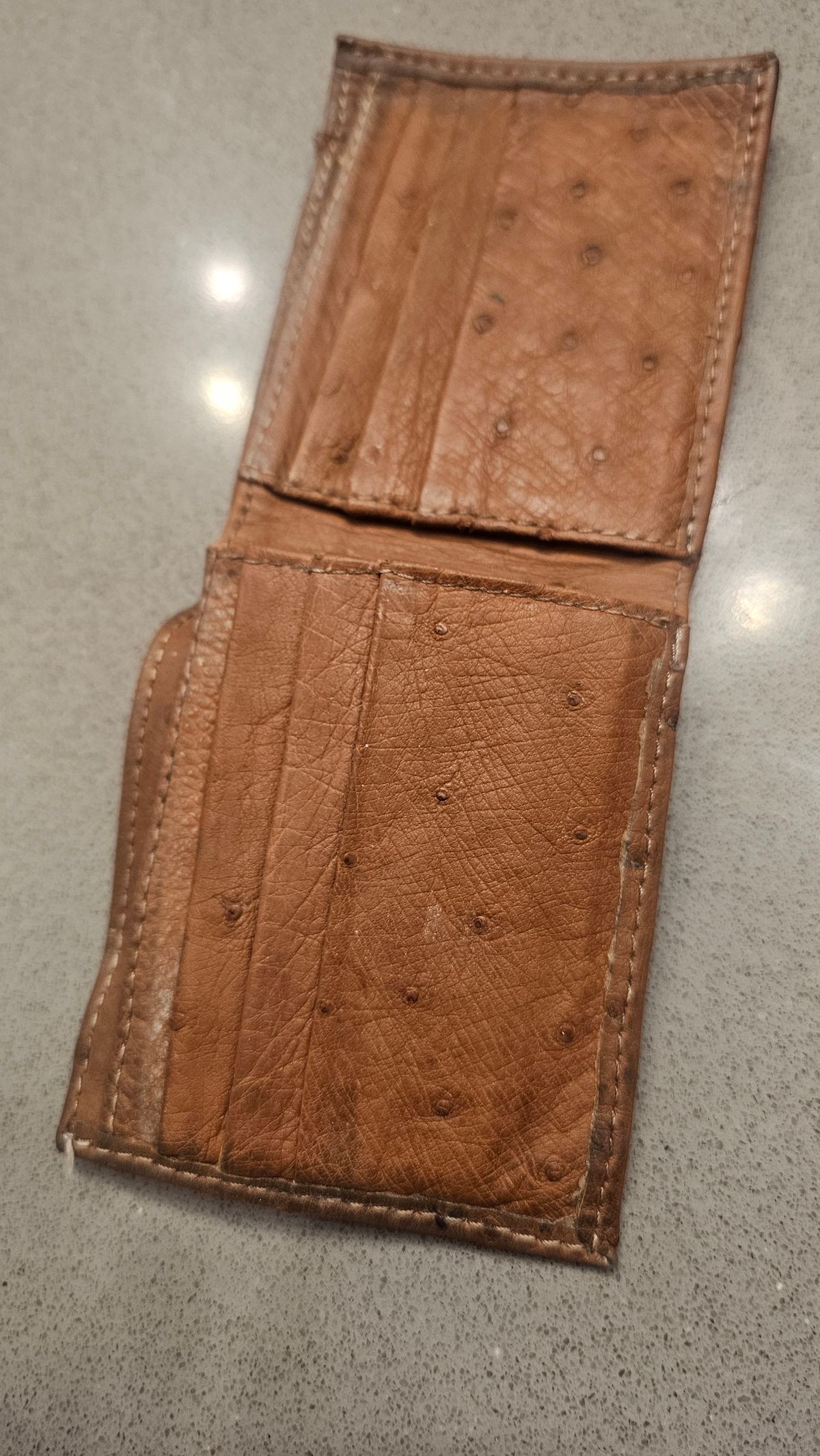 Photo by arriaga214 on March 4, 2026 of the Unknown. From Guanajuato MX Wallet in Full Quill Ostrich.