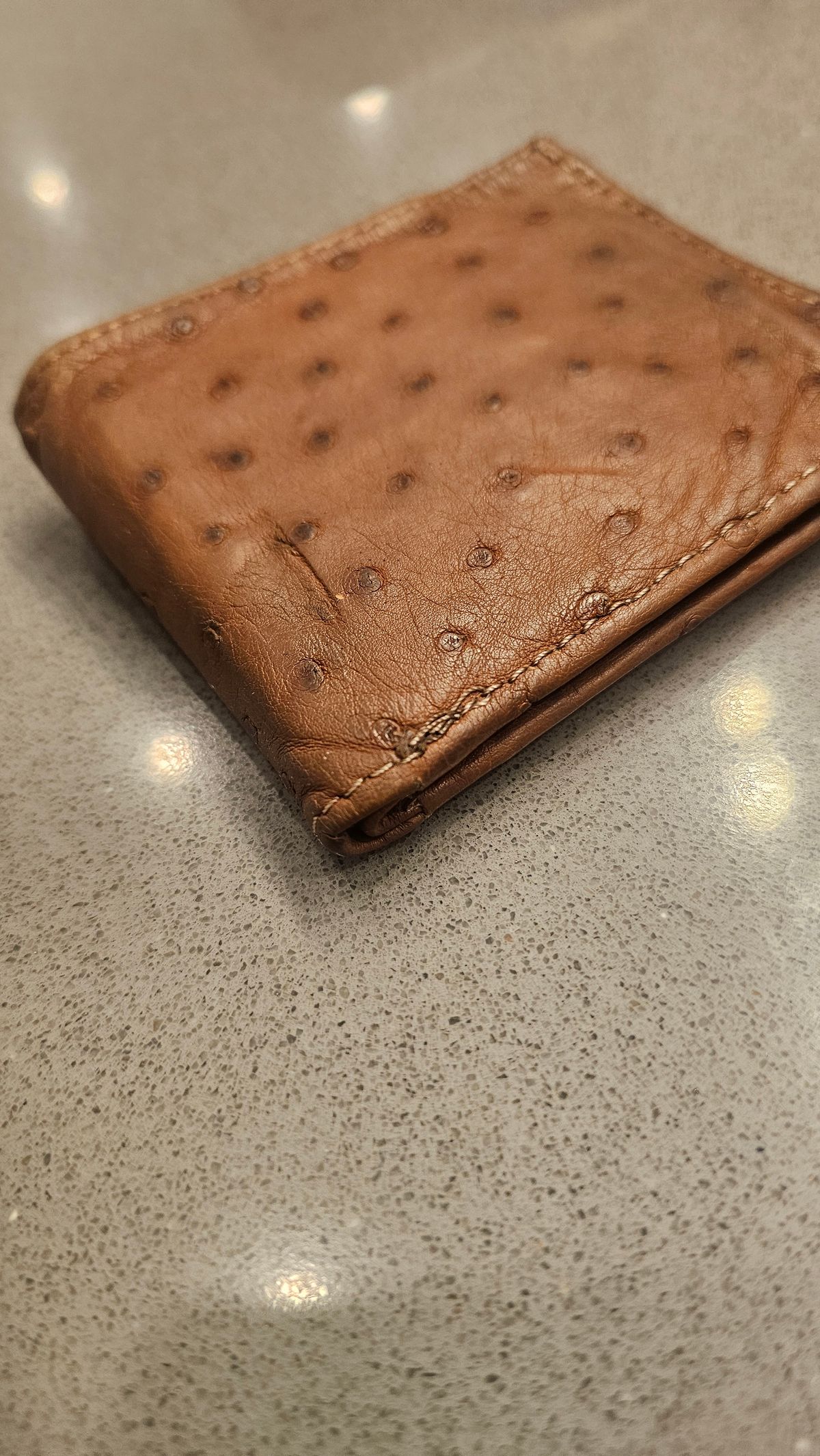 Photo by arriaga214 on March 4, 2026 of the Unknown. From Guanajuato MX Wallet in Full Quill Ostrich.