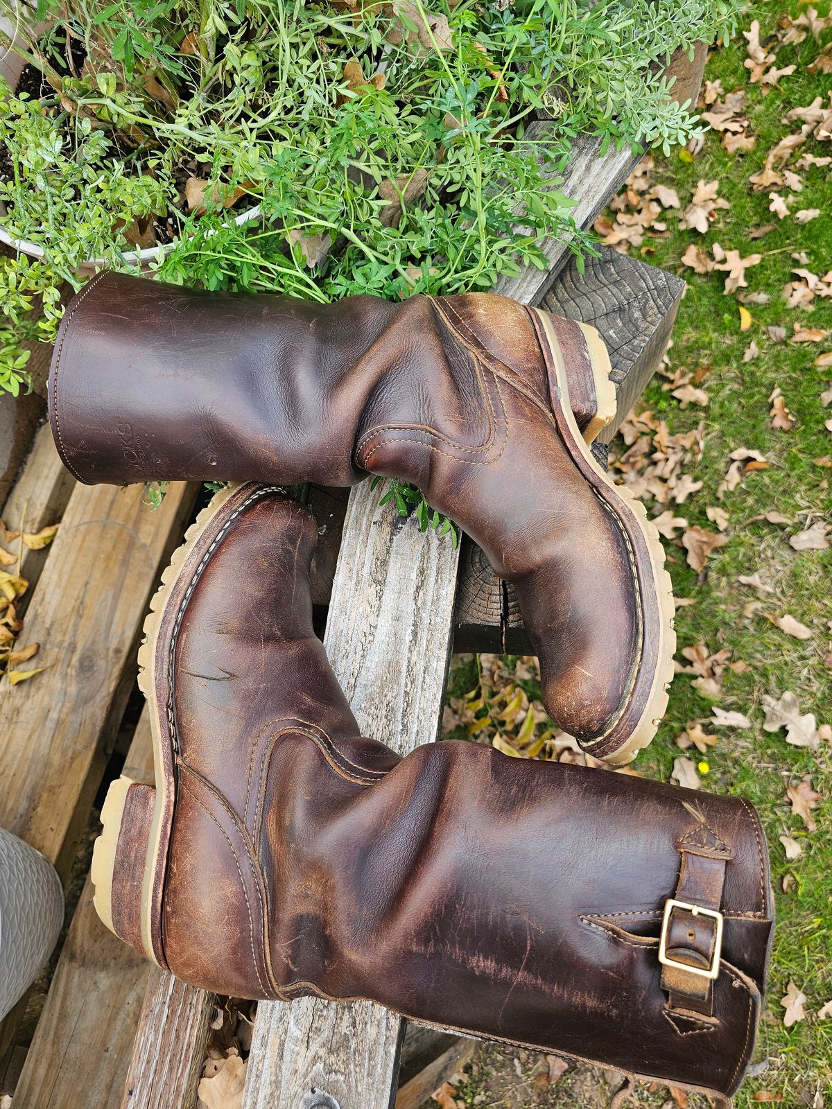 Photo by arriaga214 on January 1, 2024 of the Nicks Renegade in Horween Brown Chromexcel.