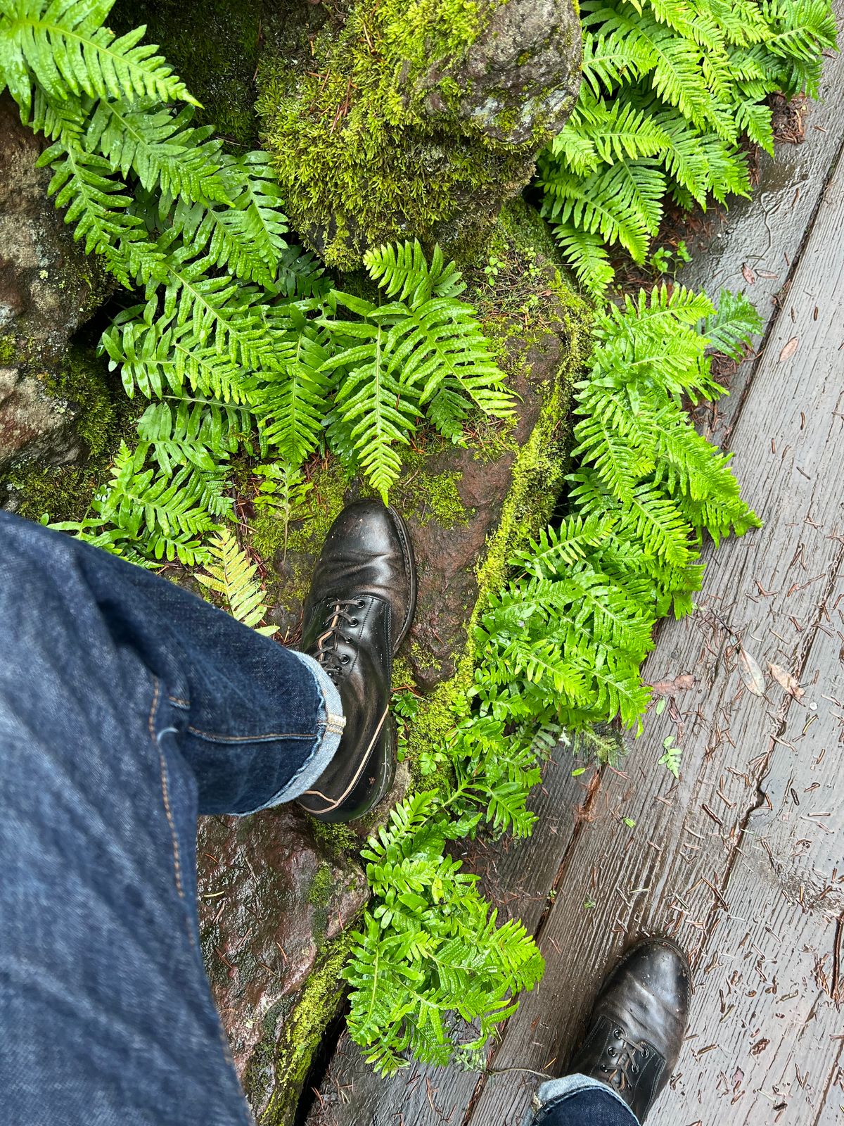 Photo by wabi_sabione on January 22, 2024 of the Rolling Dub Trio Griffin 8.5" Plain Toe Boots in Similar Black Horsebutt #1010.