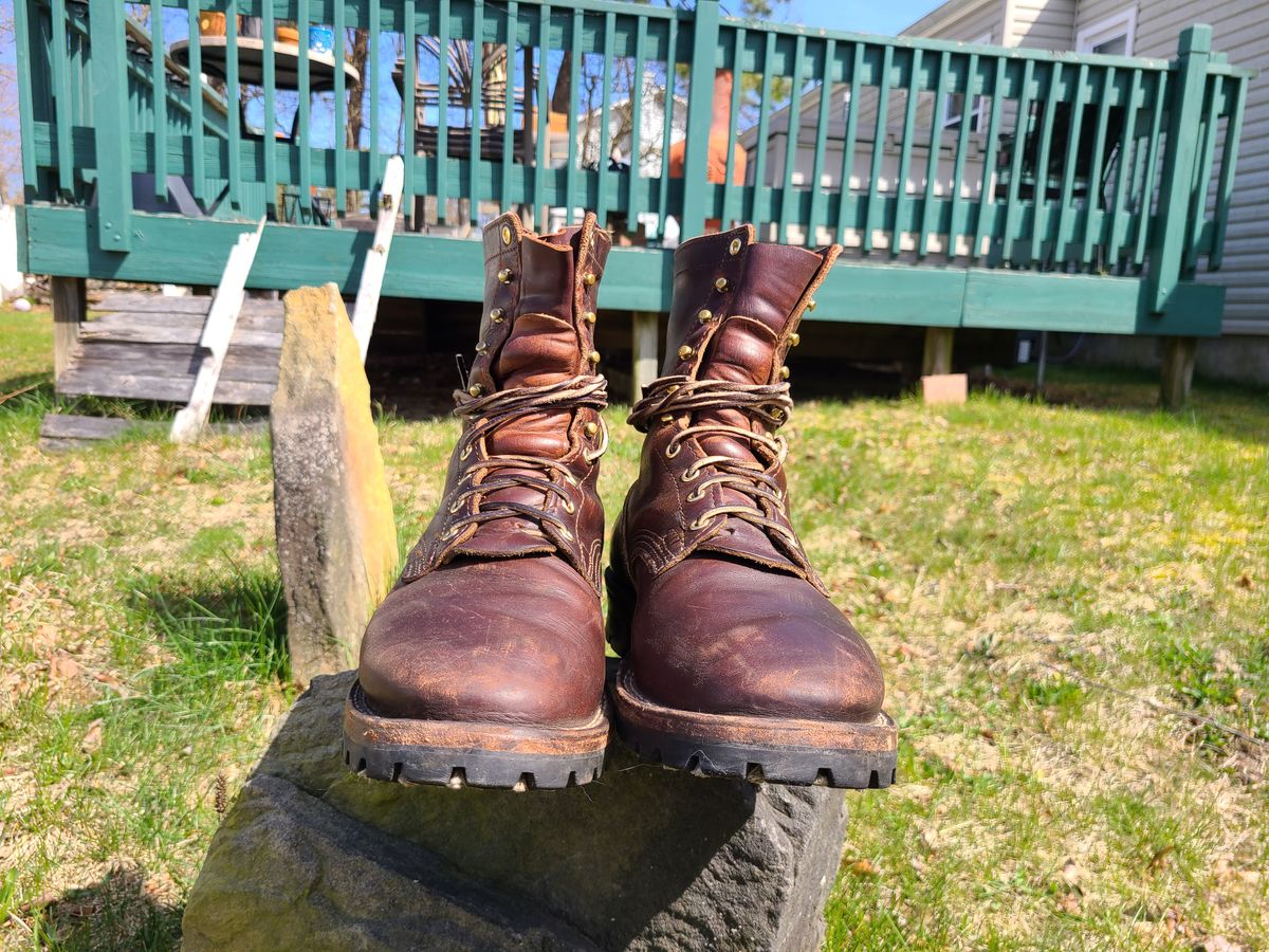 Photo by UrsusAstartes on April 1, 2024 of the Nicks Overlander in Horween Brown Chromexcel.
