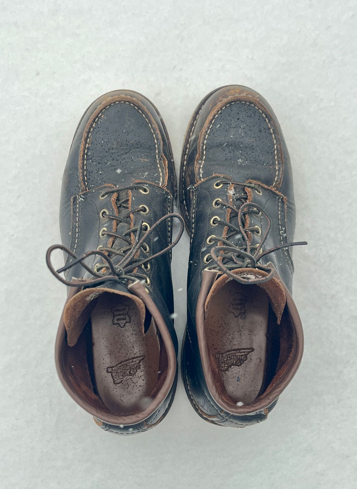 Photo by PerHansa on December 1, 2025 of the Red Wing 6-Inch Classic Moc in S.B. Foot Black Prairie.