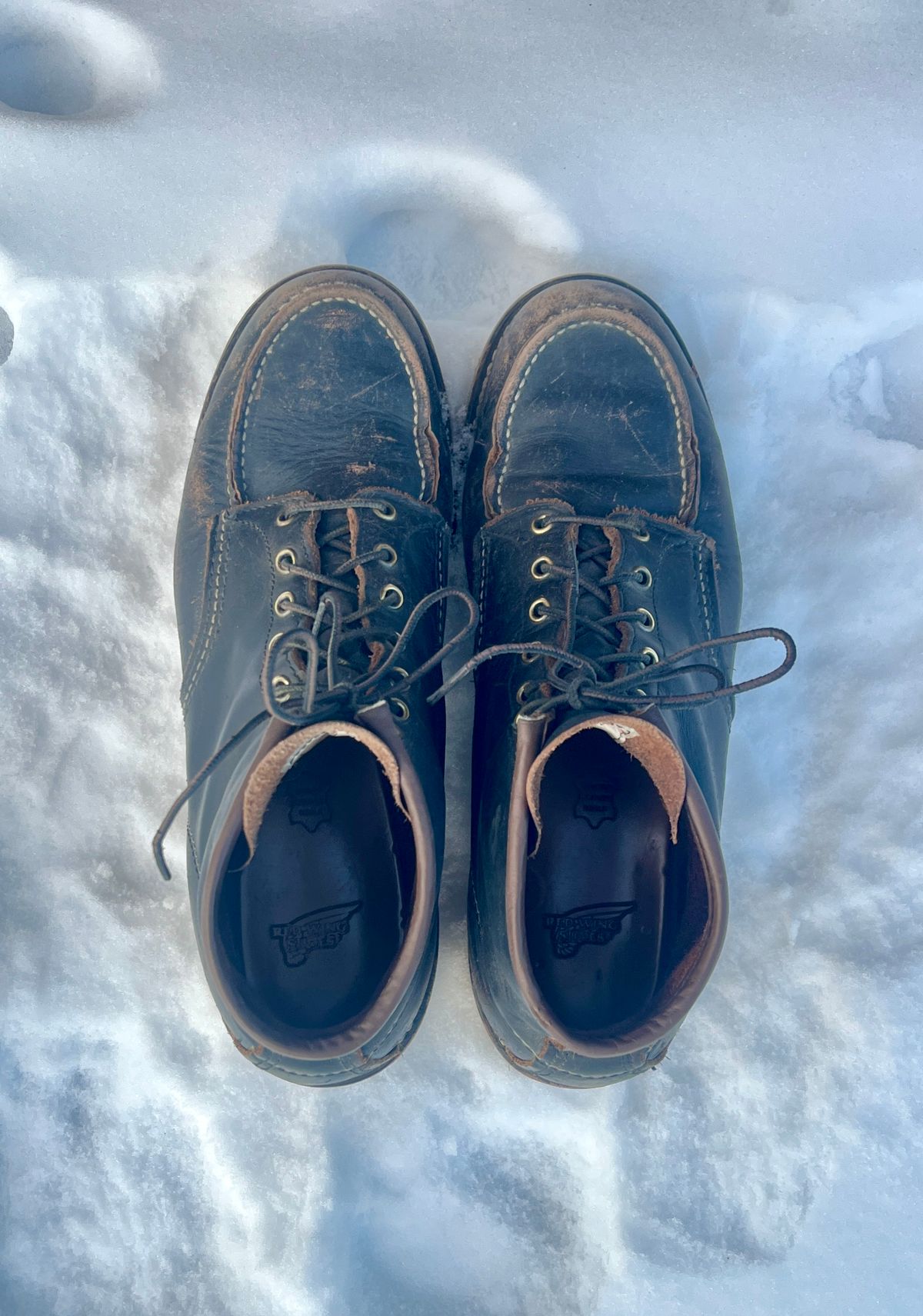 Photo by PerHansa on February 1, 2026 of the Red Wing 6-Inch Classic Moc in S.B. Foot Black Prairie.