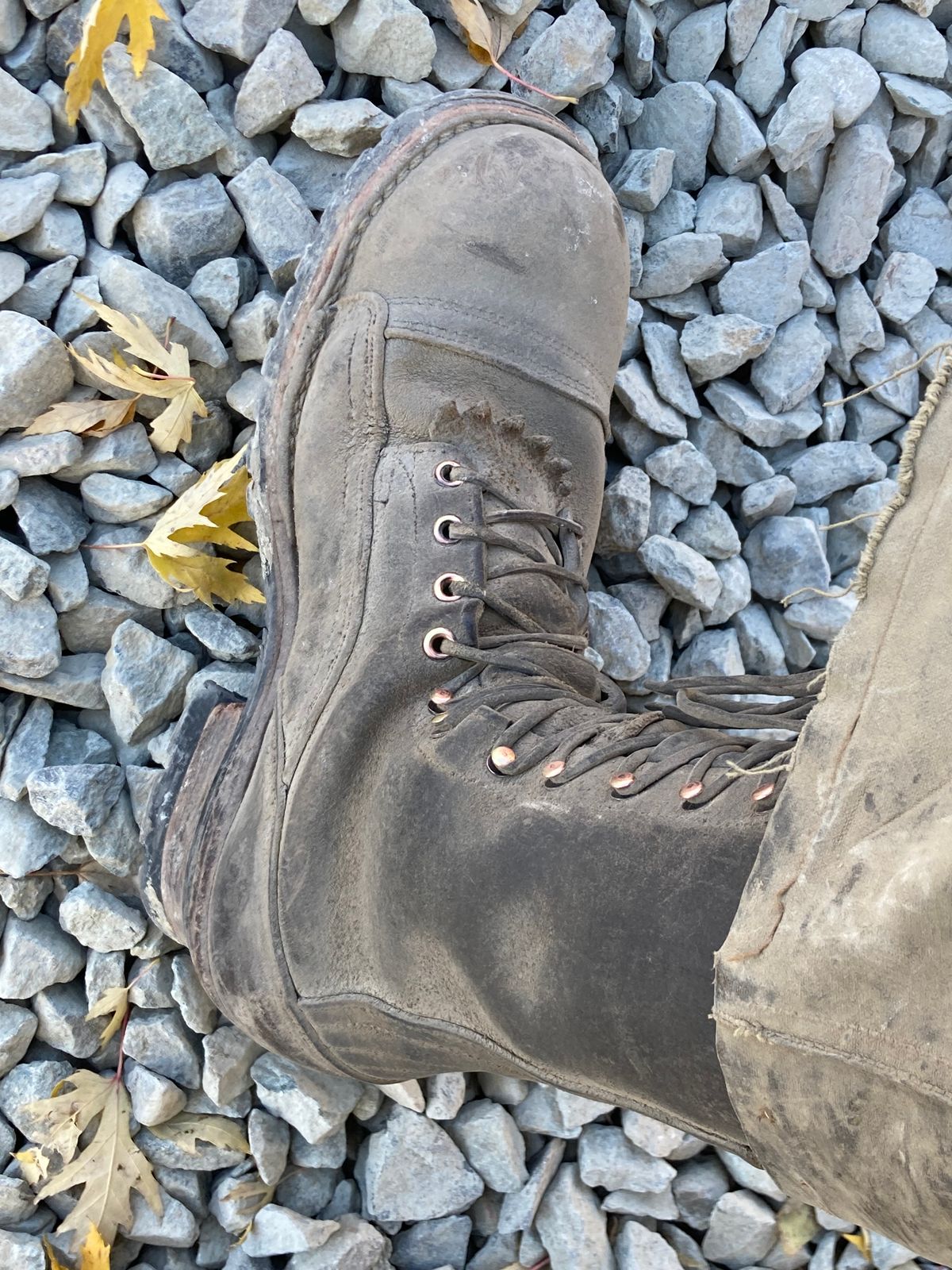 Photo by LowUFO on October 30, 2025 of the Nicks MTO in 1964 Ash Grey.