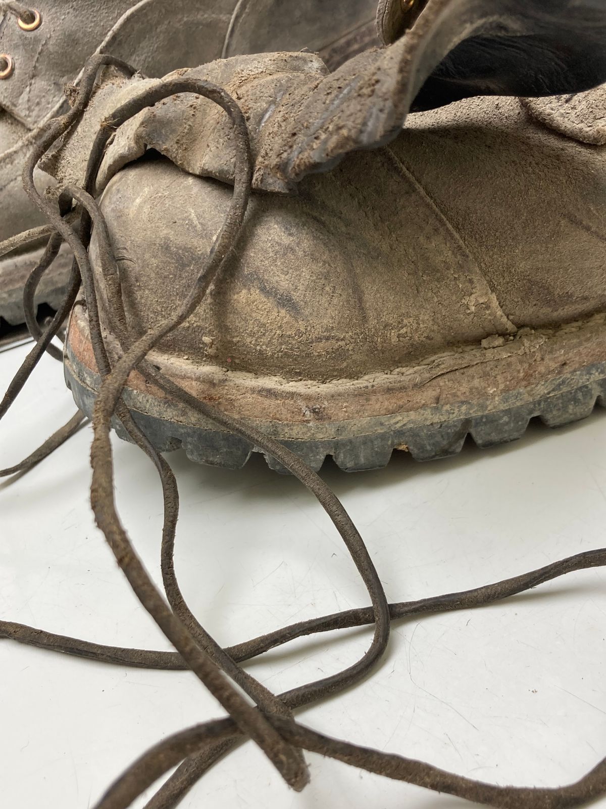 Photo by LowUFO on December 1, 2025 of the Nicks MTO in 1964 Ash Grey.