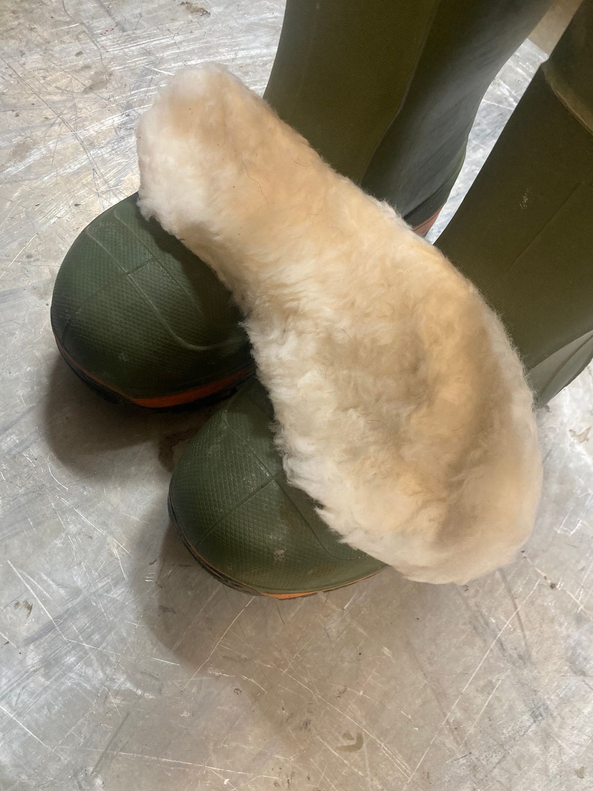 Photo by LowUFO on February 5, 2026 of the Baffin Icebear in Polyurethane.