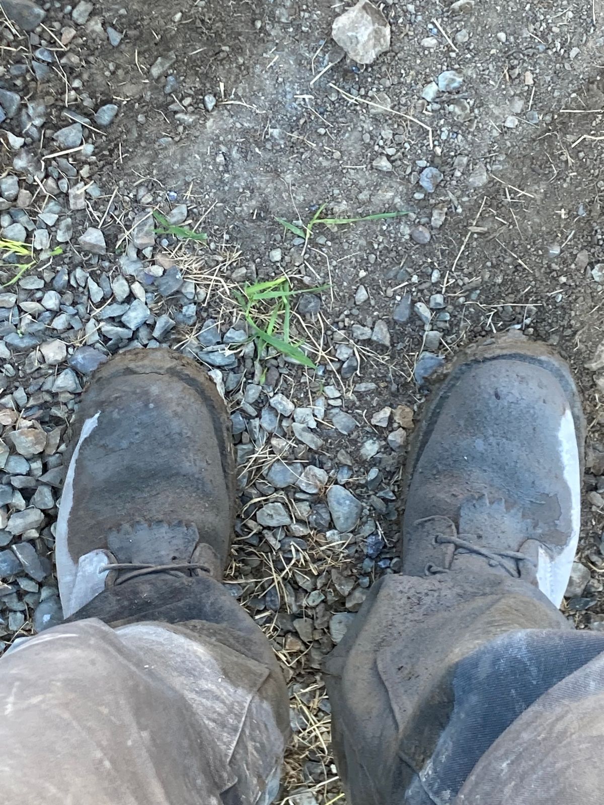 Photo by LowUFO on October 6, 2023 of the Nicks BuilderPro in Seidel 1964 Walnut Roughout.