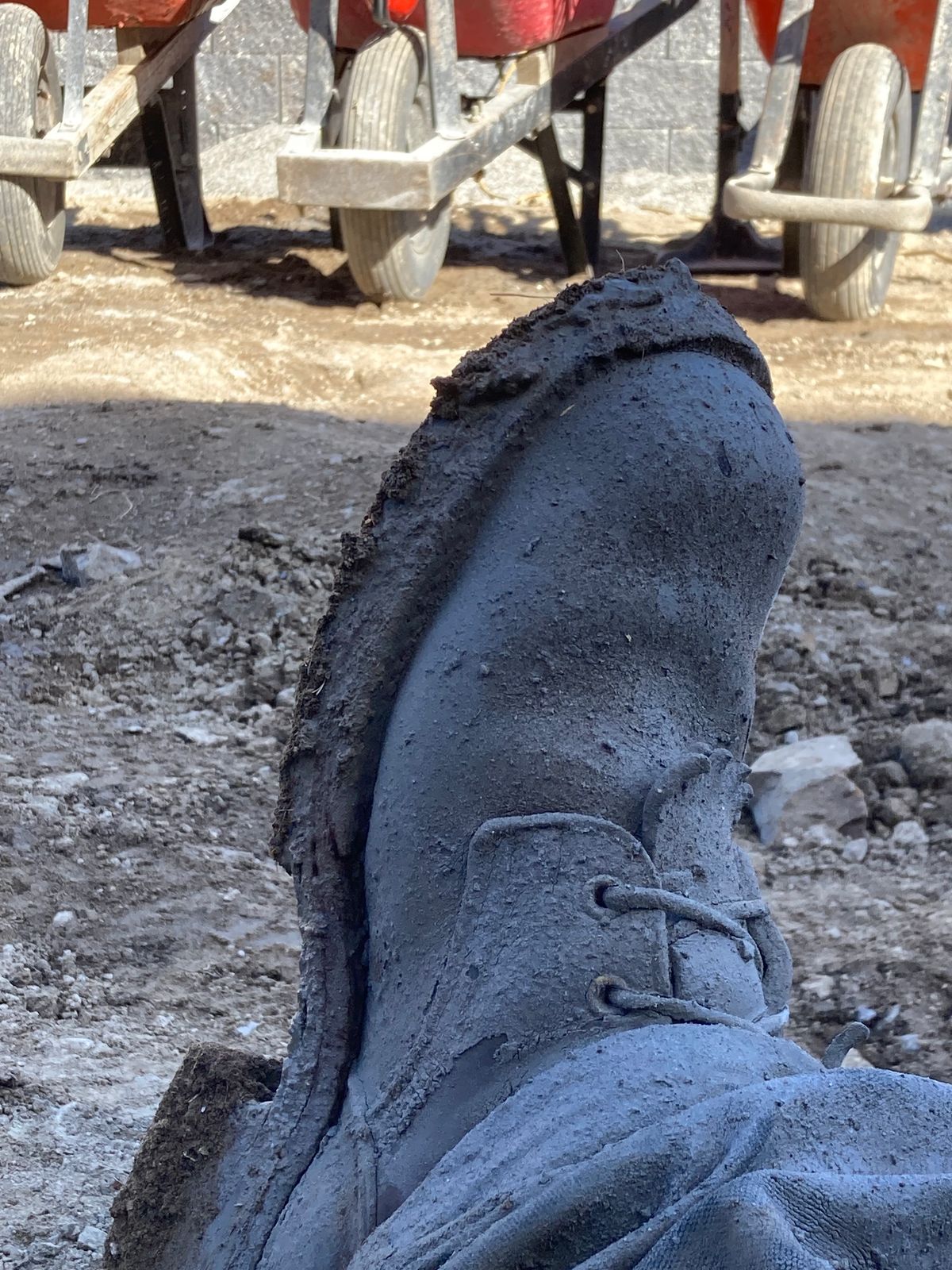 Photo by LowUFO on October 6, 2023 of the Nicks BuilderPro in Seidel 1964 Walnut Roughout.