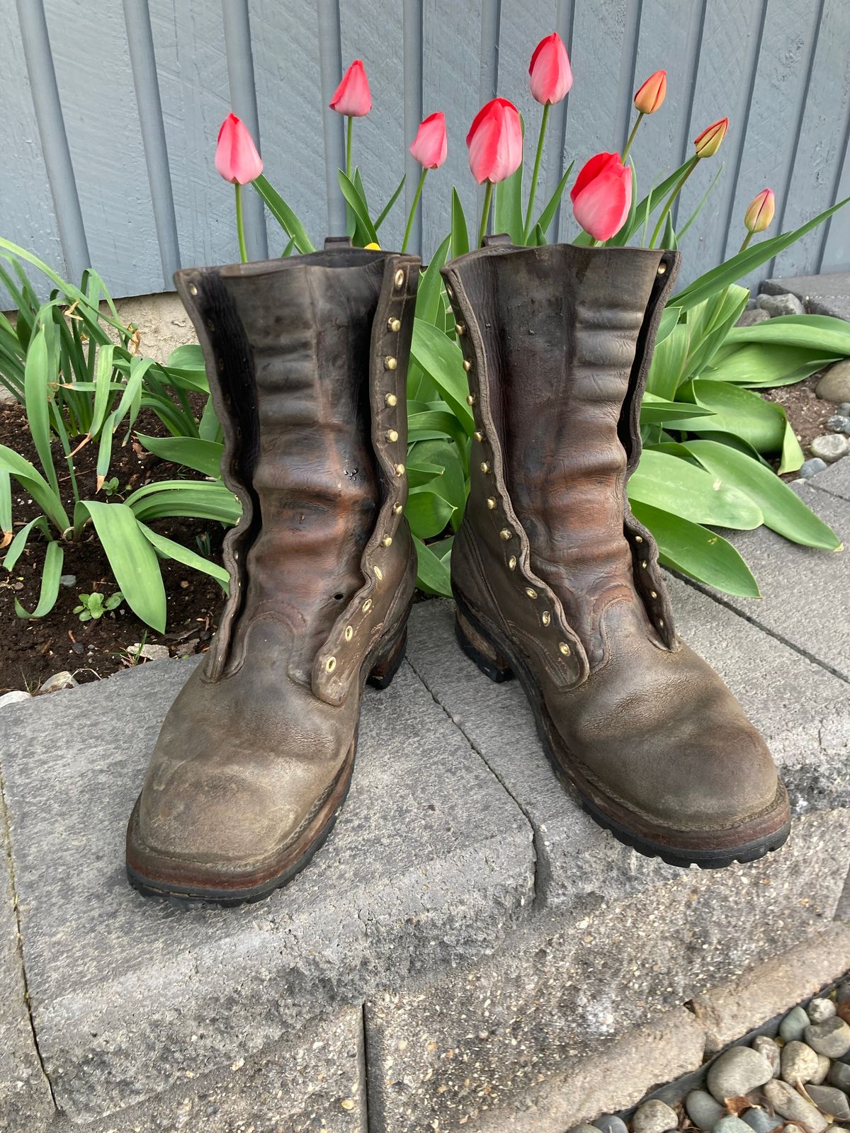 Photo by LowUFO on April 29, 2025 of the Nicks BuilderPro in Seidel 1964 Walnut Roughout.
