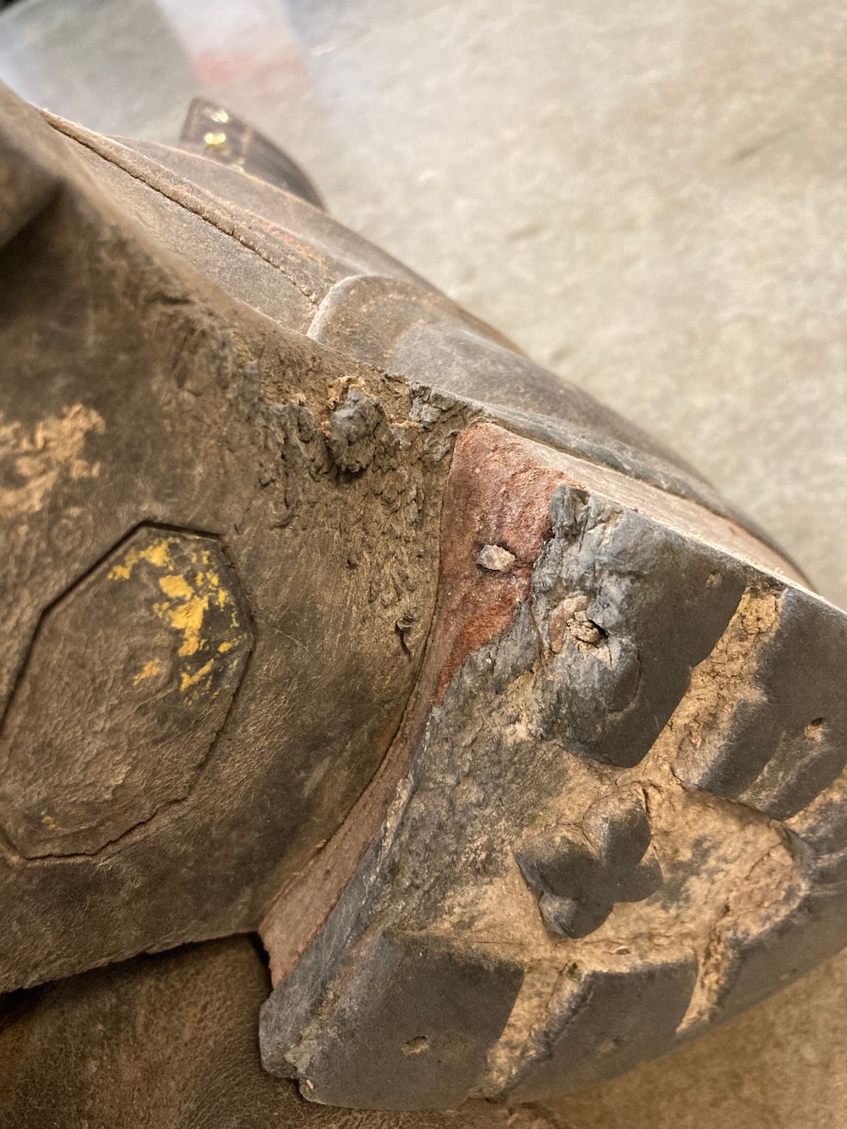 Photo by LowUFO on September 23, 2025 of the Nicks BuilderPro in Seidel 1964 Walnut Roughout.