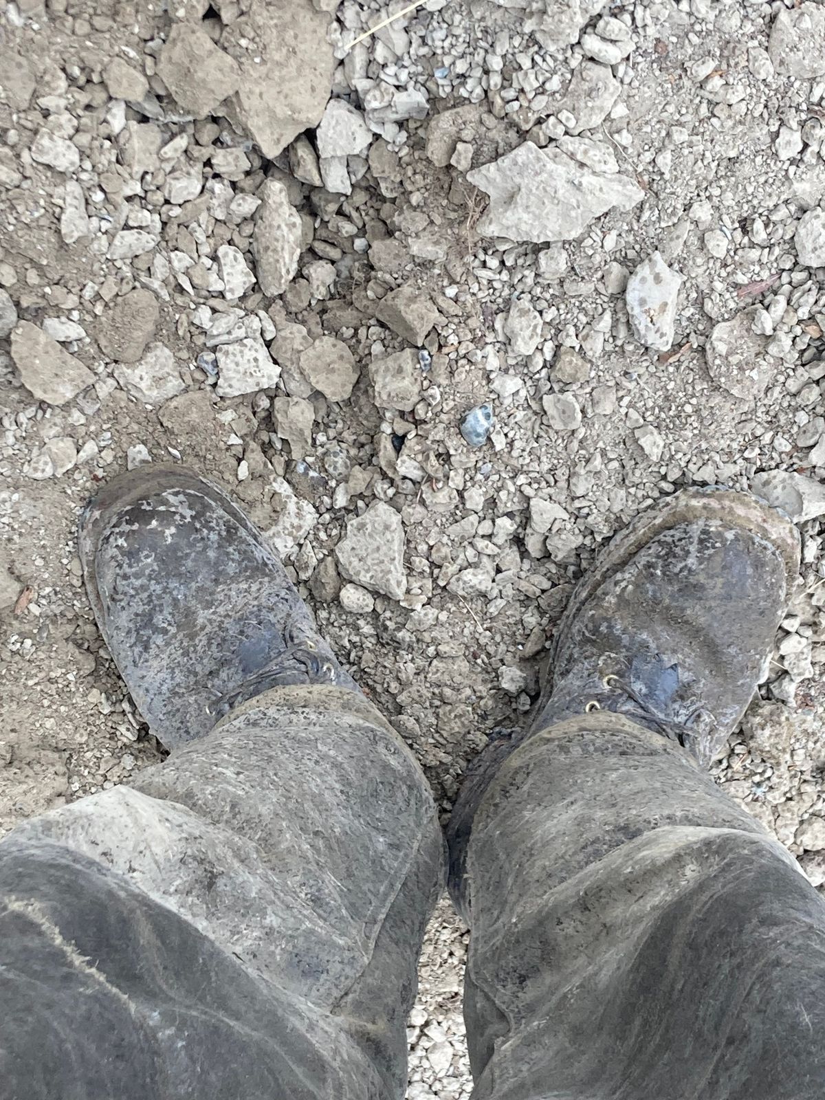 Photo by LowUFO on October 4, 2025 of the Nicks BuilderPro in Seidel 1964 Walnut Roughout.