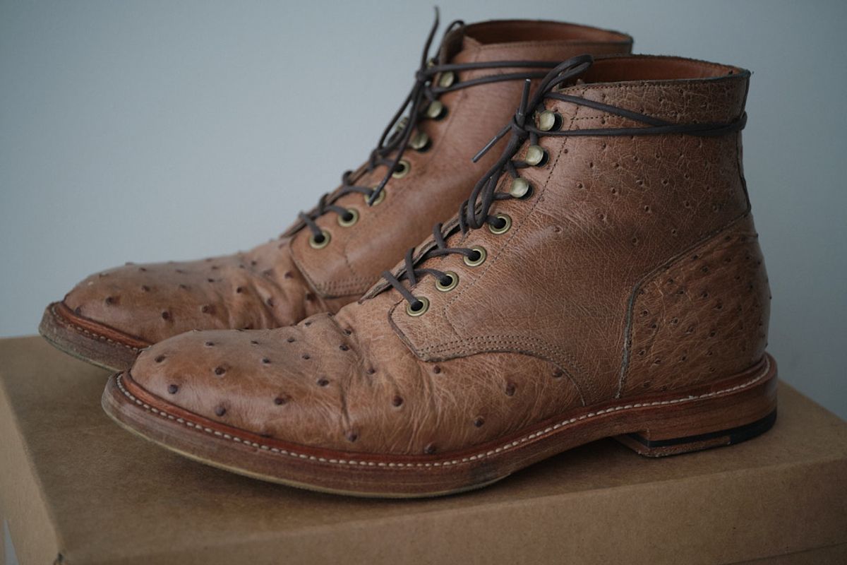 Photo by nutztee on November 5, 2023 of the Grant Stone Diesel Boot in Ranger Ostrich.