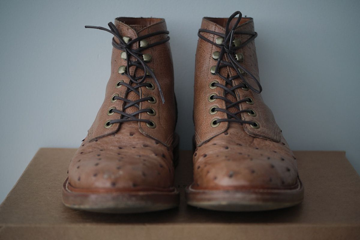 Photo by nutztee on November 5, 2023 of the Grant Stone Diesel Boot in Ranger Ostrich.