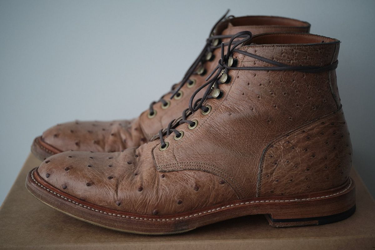 Photo by nutztee on November 5, 2023 of the Grant Stone Diesel Boot in Ranger Ostrich.