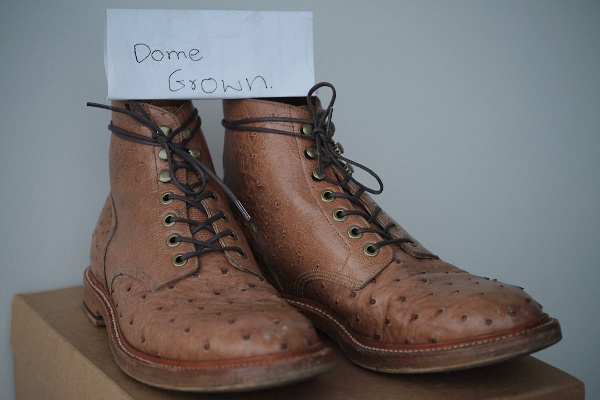 Photo by nutztee on November 5, 2023 of the Grant Stone Diesel Boot in Ranger Ostrich.