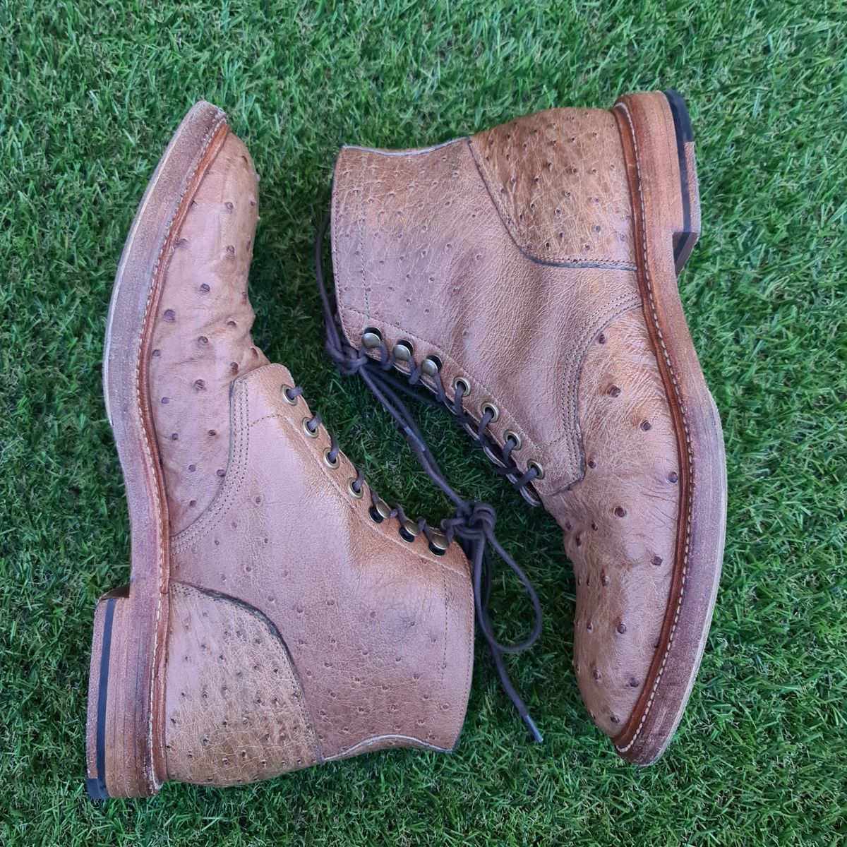 Photo by nutztee on December 1, 2023 of the Grant Stone Diesel Boot in Ranger Ostrich.