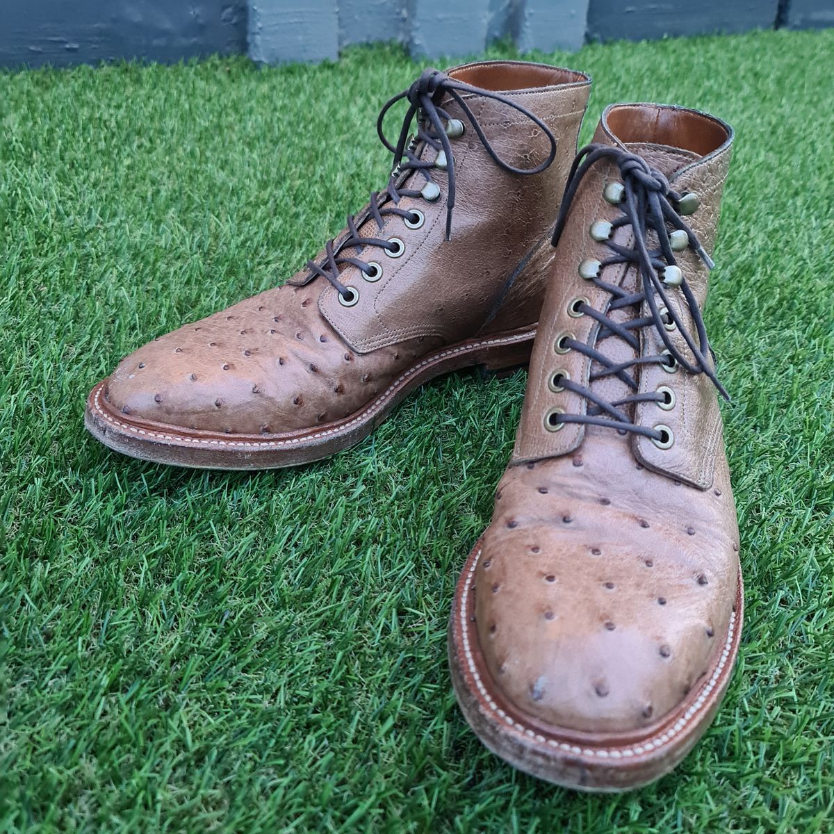Photo by nutztee on December 1, 2023 of the Grant Stone Diesel Boot in Ranger Ostrich.