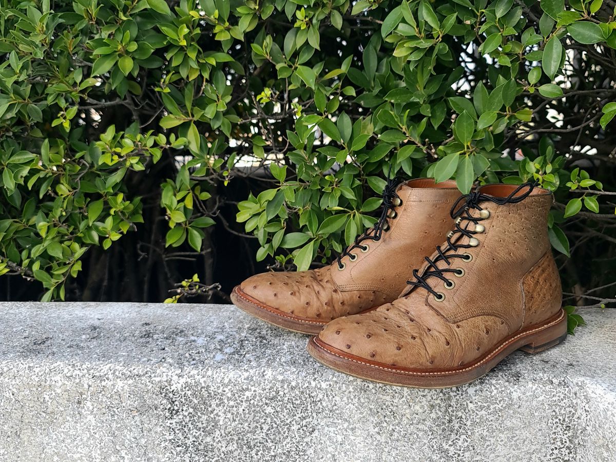 Photo by nutztee on January 1, 2024 of the Grant Stone Diesel Boot in Ranger Ostrich.