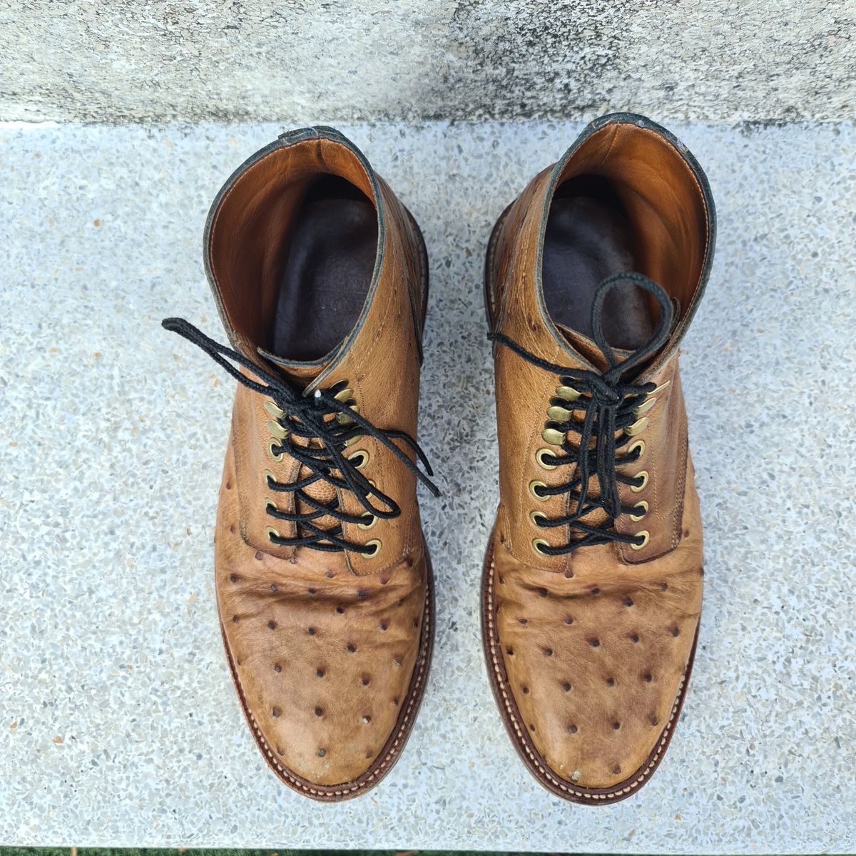Photo by nutztee on February 4, 2024 of the Grant Stone Diesel Boot in Ranger Ostrich.