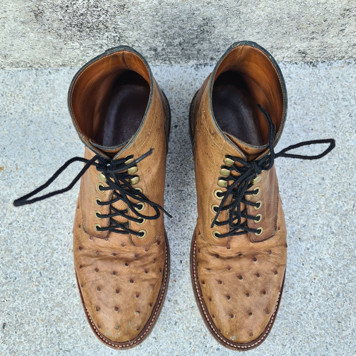 Photo by nutztee on March 3, 2024 of the Grant Stone Diesel Boot in Ranger Ostrich.