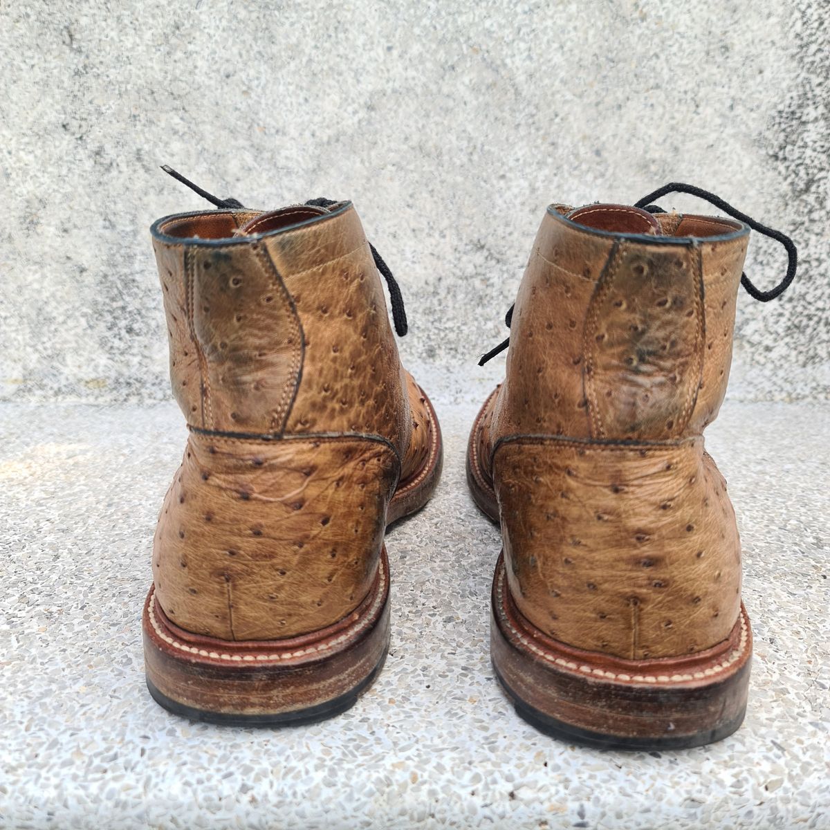 Photo by nutztee on April 3, 2024 of the Grant Stone Diesel Boot in Ranger Ostrich.