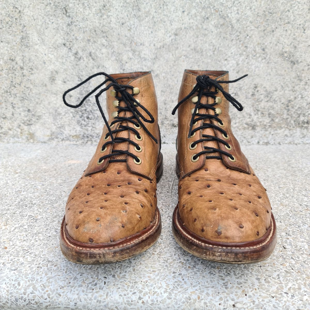 Photo by nutztee on April 3, 2024 of the Grant Stone Diesel Boot in Ranger Ostrich.