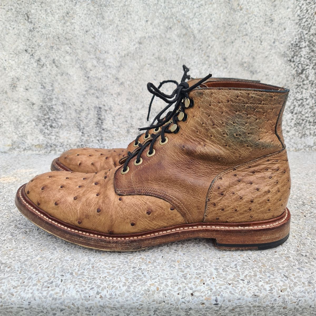 Photo by nutztee on April 3, 2024 of the Grant Stone Diesel Boot in Ranger Ostrich.