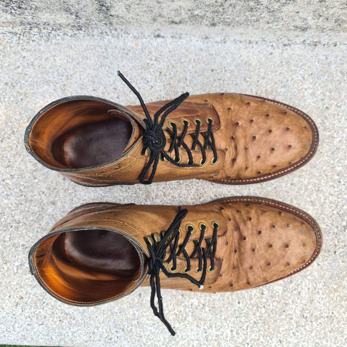 Photo by nutztee on April 3, 2024 of the Grant Stone Diesel Boot in Ranger Ostrich.