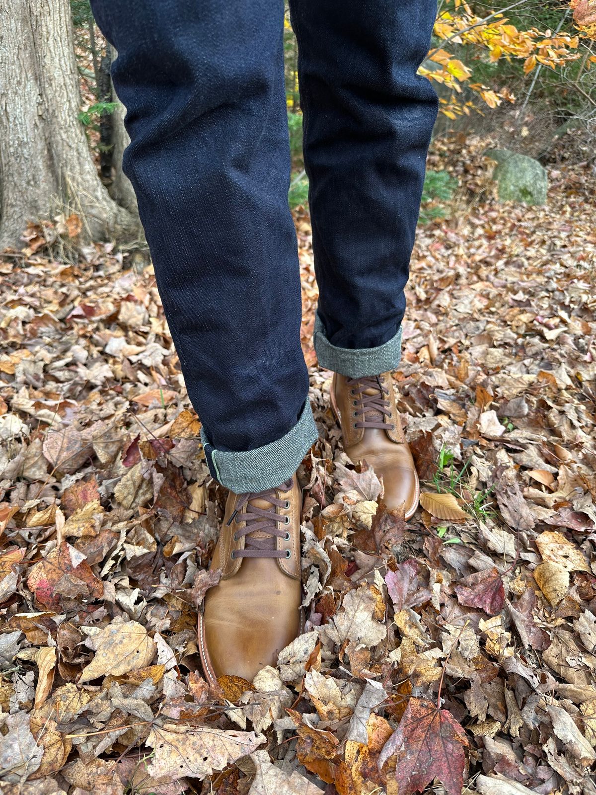 Photo by n_1n on November 2, 2024 of the Dayton Boots Service Boot in Brown Pullup.