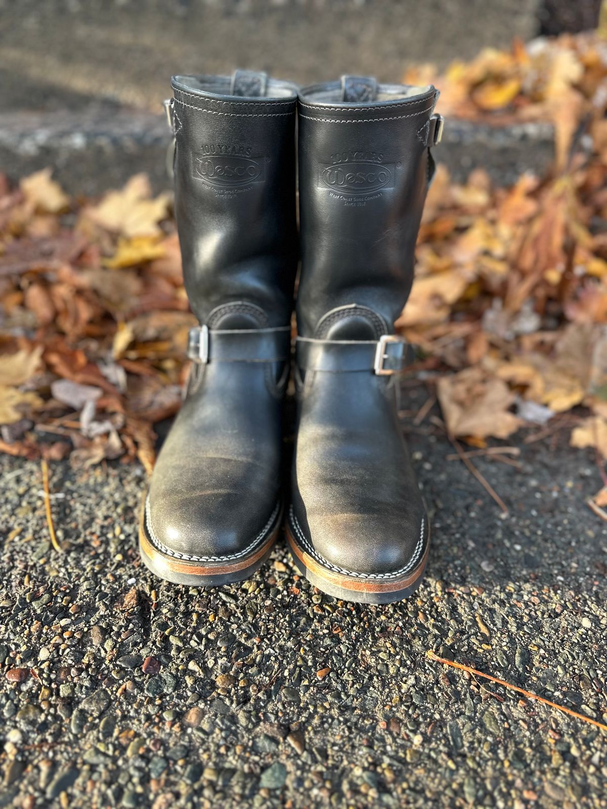 Photo by n_1n on November 5, 2022 of the Wesco Mister Lou in Maryam Petrolio Waxed Black Horsehide.