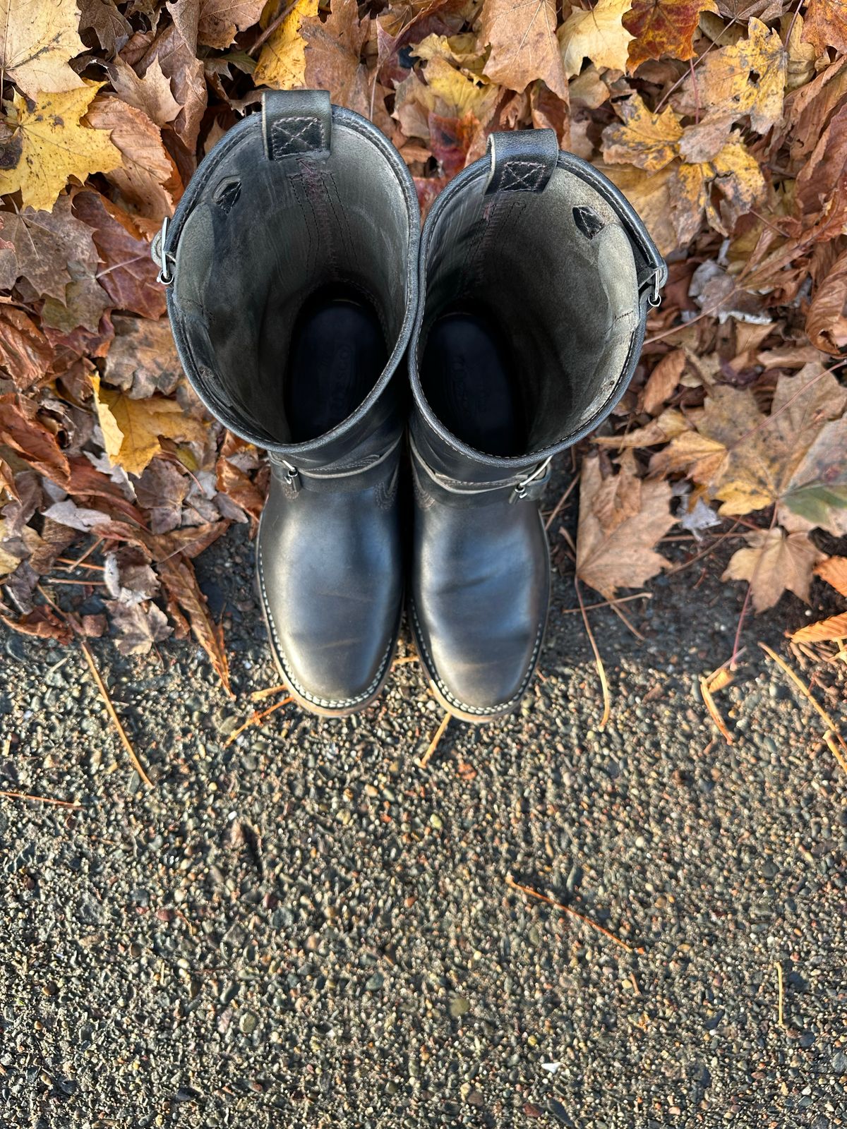 Photo by n_1n on November 5, 2022 of the Wesco Mister Lou in Maryam Petrolio Waxed Black Horsehide.