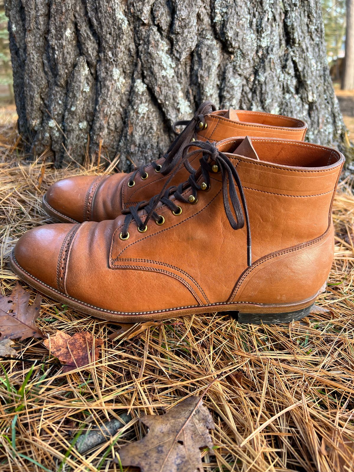 Photo by cronmok on November 3, 2022 of the Iron Boots Devil Dog in Maryam Washed Natural Horsefront.