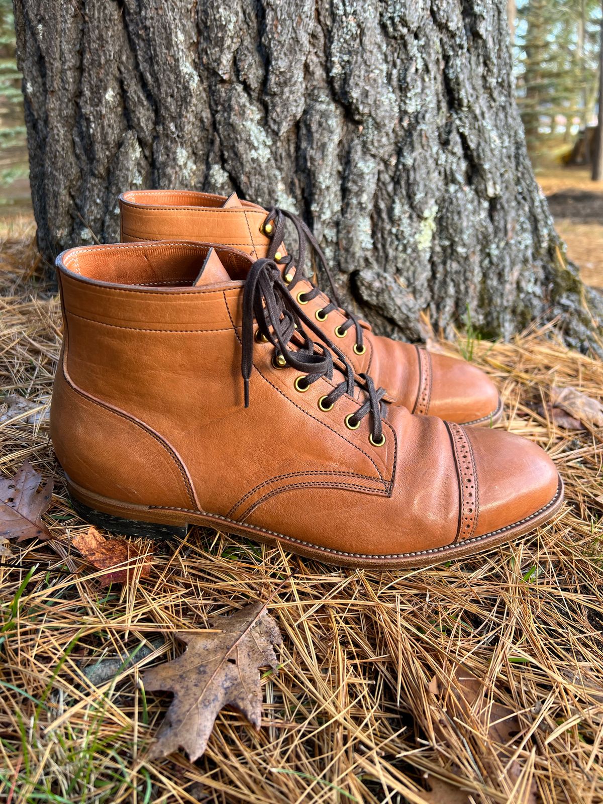Photo by cronmok on November 3, 2022 of the Iron Boots Devil Dog in Maryam Washed Natural Horsefront.