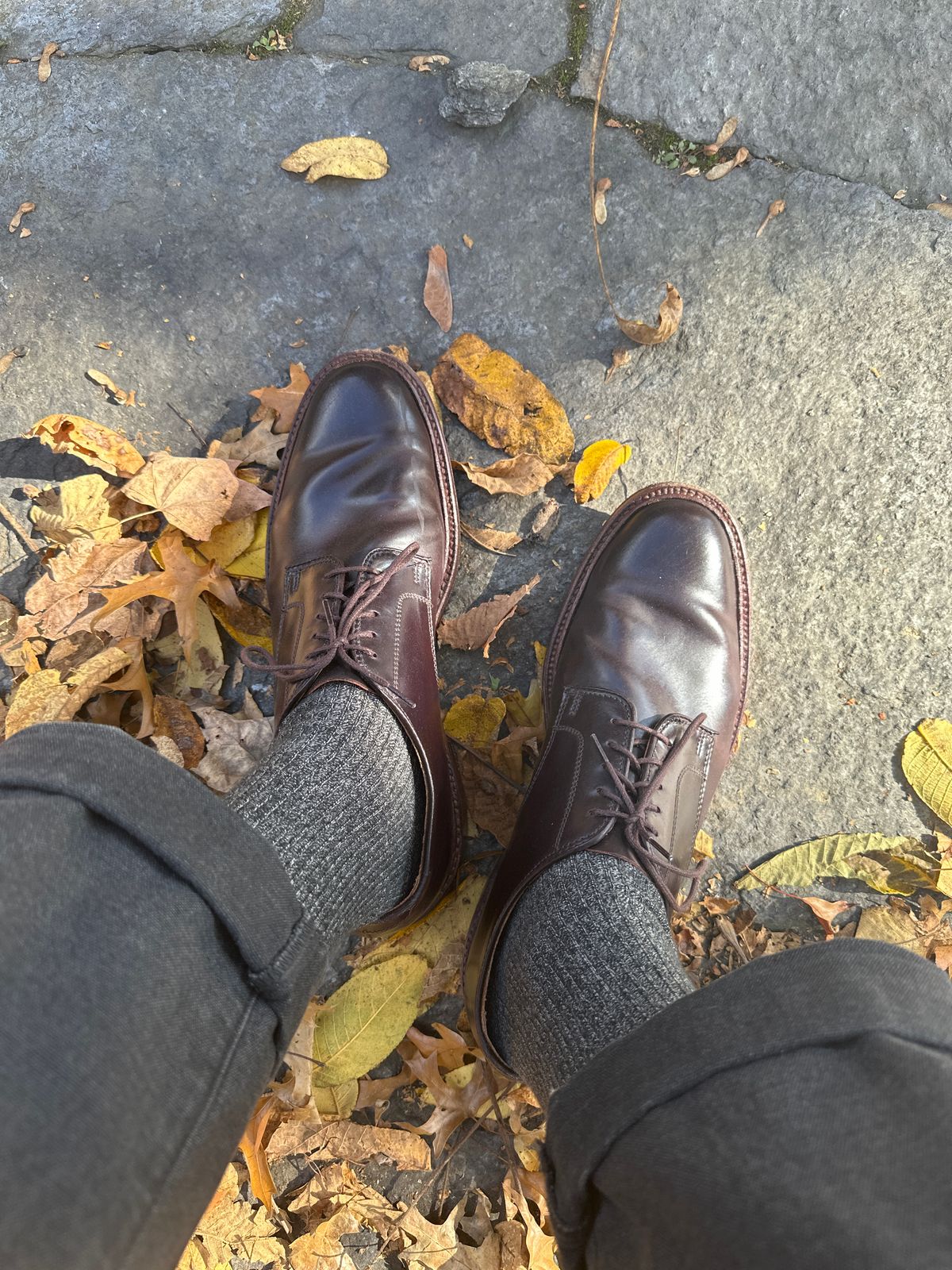 Photo by Mr.Baddie on October 28, 2023 of the Alden in Horween Color 8 Shell Cordovan.