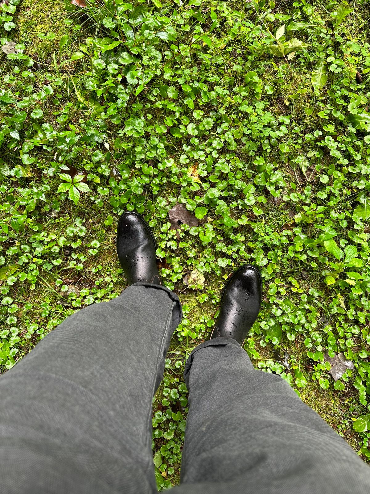 Photo by Mr.Baddie on September 11, 2023 of the Briselblack The Seventh Chelsea Boot in Horween Black Waxed Flesh.