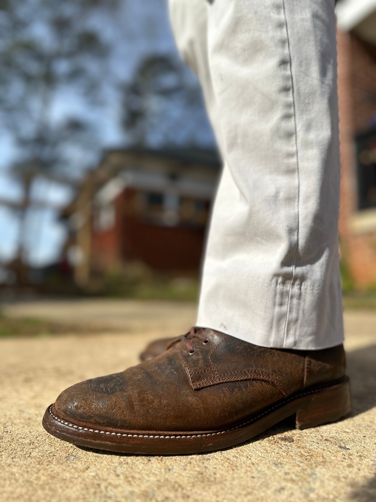 Photo by nothomeatl on January 5, 2024 of the Caswell Boot Company Lisbon in C.F. Stead Snuff Waxy Commander Suede.