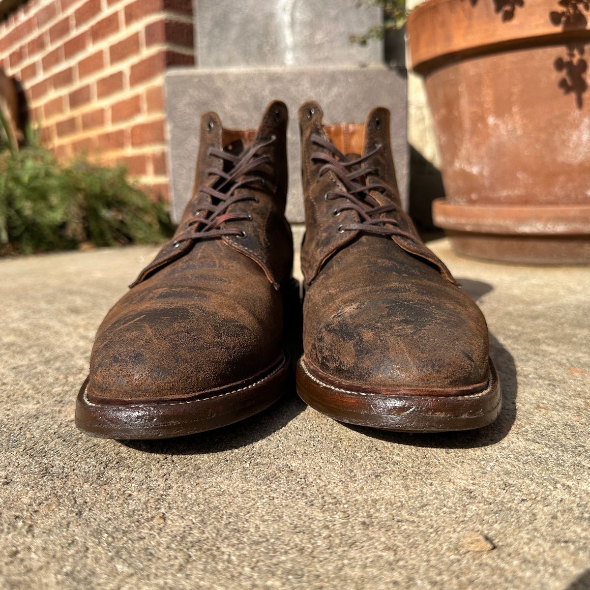 Photo by nothomeatl on January 5, 2024 of the Caswell Boot Company Lisbon in C.F. Stead Snuff Waxy Commander Suede.