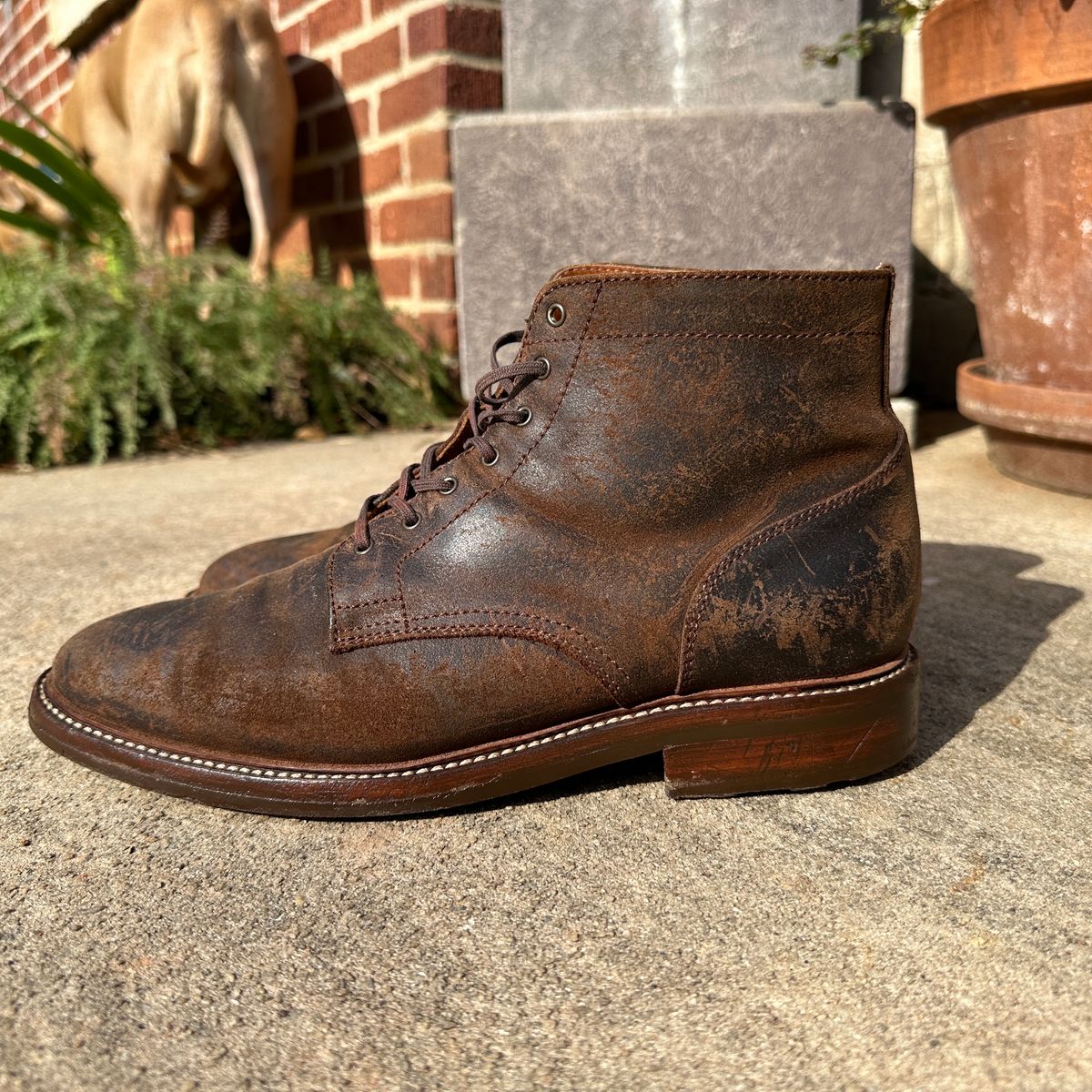 Photo by nothomeatl on January 5, 2024 of the Caswell Boot Company Lisbon in C.F. Stead Snuff Waxy Commander Suede.