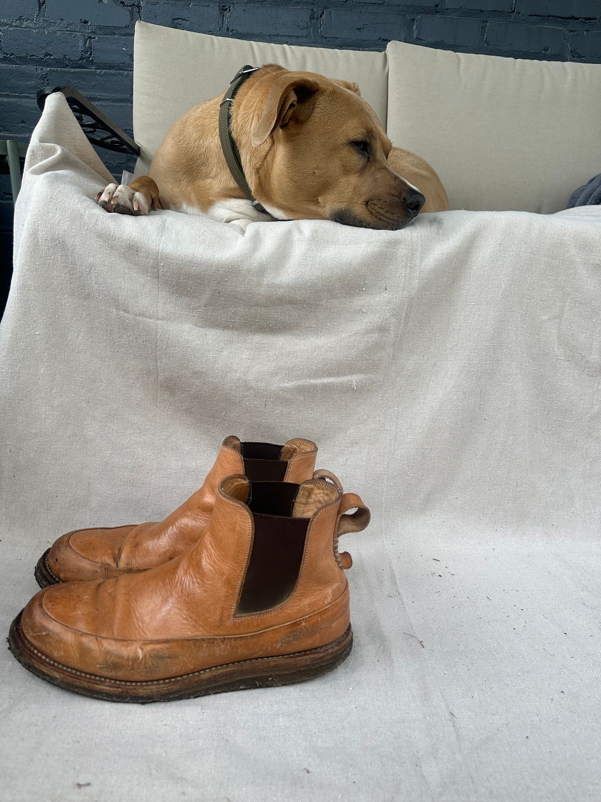 Photo by nothomeatl on April 5, 2026 of the Project Pandion PE1.2 in Vegetable Tanned Bovine.