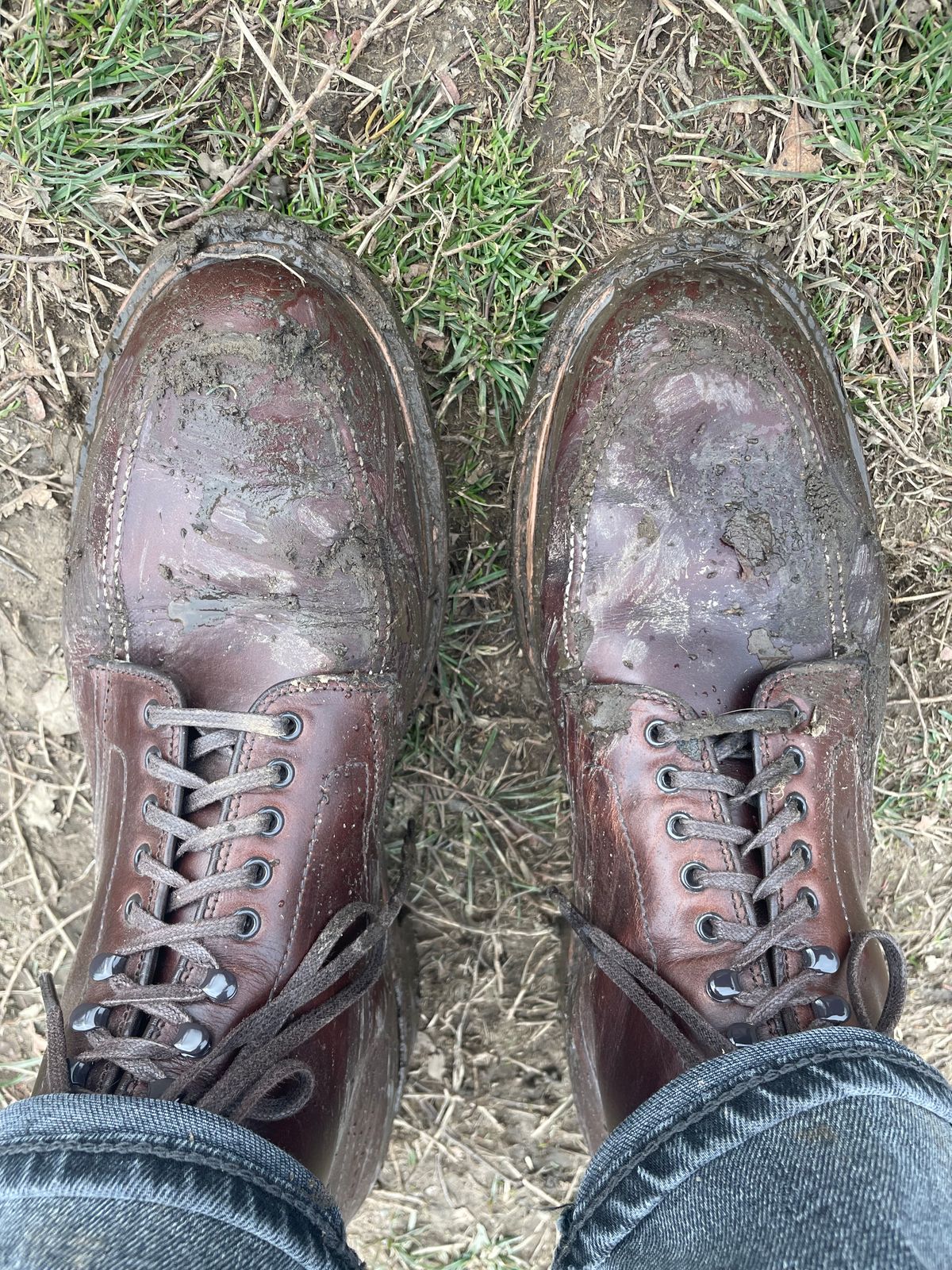 Photo by jonnyz on March 10, 2023 of the Alden Indy Boot in Horween Brown Chromexcel.