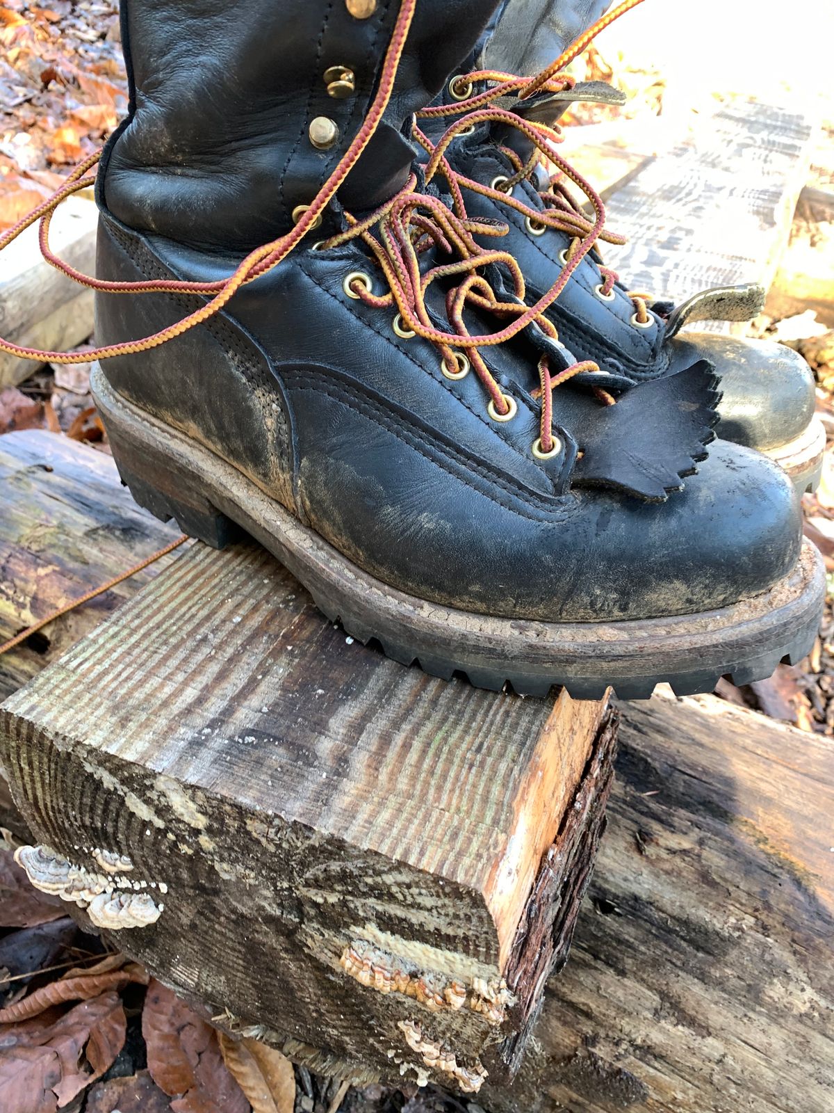 Photo by CountFluffhair.46 on December 2, 2022 of the Hoffman Boots Unlisted Model in Unknown Leather.