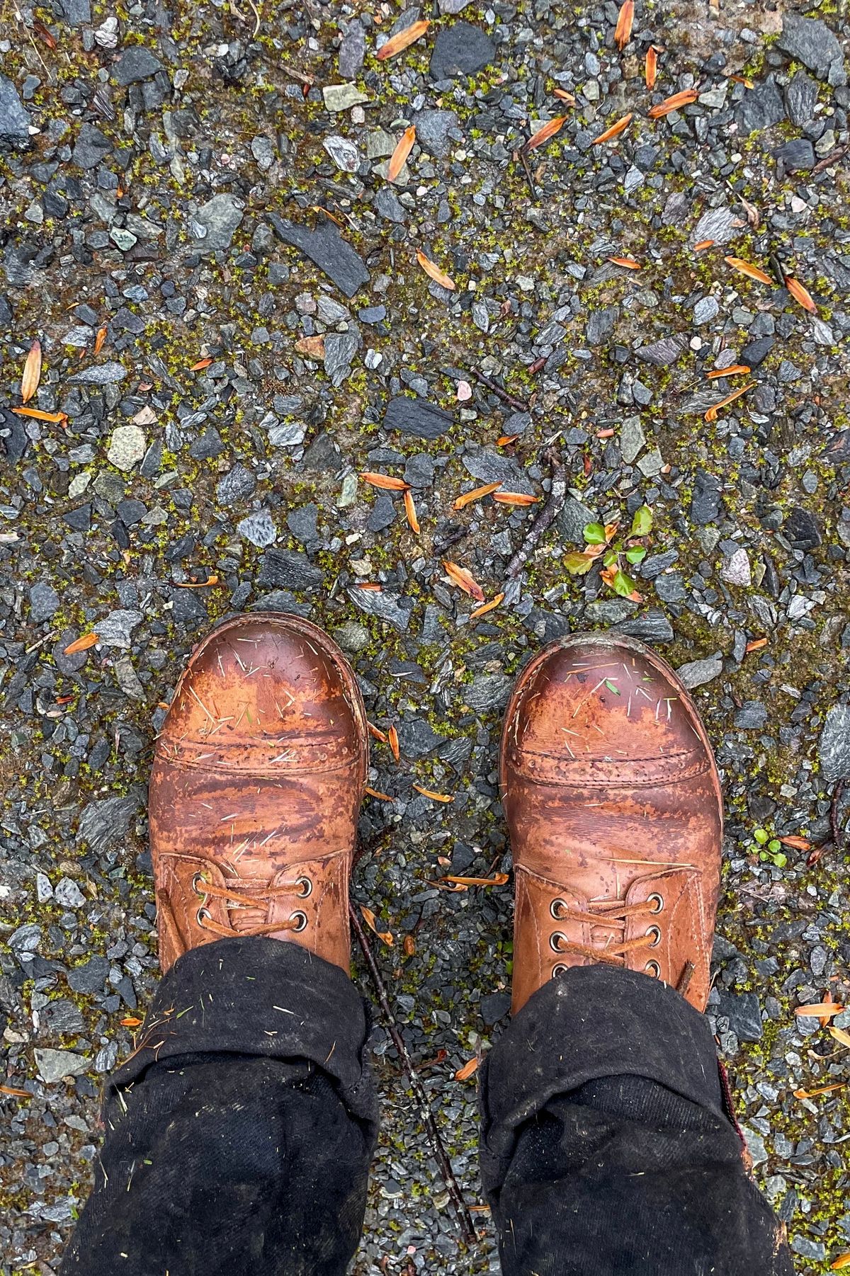 Photo by jamesontisch on December 6, 2023 of the Oak Street Bootmakers Trench Boot in Horween Natural Chromexcel.