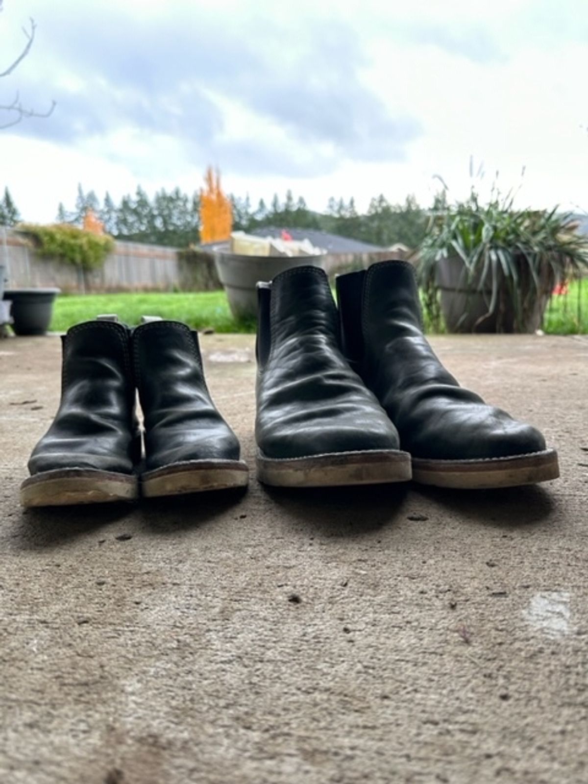 Photo by westcoast1918 on November 5, 2023 of the Wesco Project Axl in Petrolio + Bianco.